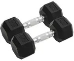 vidaXL Kurzhanteln 2 Stk. 16 kg Gusseisen
