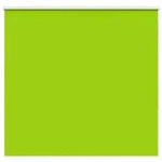 vidaXL Verdunkelungsrollo Gr&uuml;n 150x175cm Stoffbreite 146,6cm Polyester