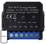 Avatto WiFi WPM16-2 intelligenter bidirektionaler Energiez&auml;hler
