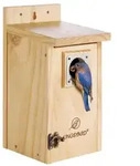 Vogelhaus Holz mit Raubtierschutz 3,8 cm Einflugloch