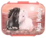 Depesche 14132 Miss Melody Blossom Pony - Brotdose in Hellrosa, mit Pferde...