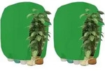 Pflanzenabdeckung Winterschutz Rei&szlig;verschluss 160x240cm Gr&uuml;n-2 St&uuml;ck
