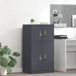 vidaXL Aufbewahrungsschrank Anthrazit 60 x 40 x 40 cm Stahl