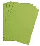Clairefontaine Maya Bastelkarton A1 185g 25 Bogen - Moosgr&uuml;n 975652C