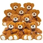 Teddyb&auml;r gef&uuml;lltes Tier Pl&uuml;schtier Geschenk f&uuml;r Kind Freundin, 13.5 Zoll