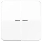Jung Wippe Lichtleiter aws CD 595 KO5BF WW