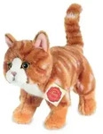 Katze, stehend, rot