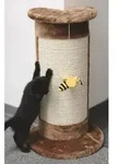 Baum braun Winkel Katze