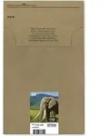 Epson Druckerpatrone T2428, 24 Easy Mail Packaging Original Kombi-Pack Schwarz, Cyan,