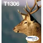 Epson T1306 Multipack Easy Mail Packaging - 3er-Pack