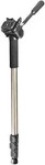 "Hama Einbeinstativ "Star 78 Mono" Champagner"