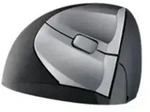 Minicute EZMouse - Maus - optisch - 3 Tasten - kabellos - 2.4 GHz - kabelloser
