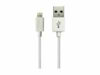 Sandberg - Lightning-Kabel - USB (M) bis Lightning (W)