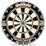 Winmau Dartscheibe Borsten Dartboard Pro SFB mit 3 Stahl- und 3 Softdarts