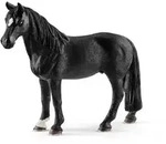 Tennessee Walking Horse Wallach