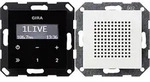 GIRA Schalterprogramm Einsatz Unterputz-Radio System 55, Standard 55, E2, Event,