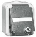 Peha SCHUKO-Steckdose 1-fach gr D 6620 WAB NA VS