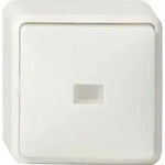 Gira Kontr.Wechselschalt. rws 011613