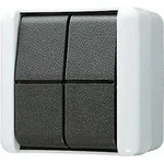 Jung Doppel-Taster 10AX 250V 839 W