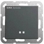 Gira Sensotec o. Fernbedienung 237628
