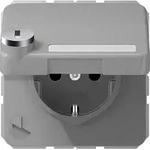 10 Stk. Jung SCHUKO-Steckdose 16A 250V CD 1520 NAKLSL GR