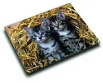 L&auml;ufer Schreibunterlage Katzen im Stroh, 400 x 530 mm