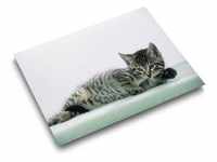 Läufer Schreibunterlage Katze grau, 400 x 530 mm