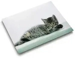 L&auml;ufer Schreibunterlage Katze grau, 400 x 530 mm