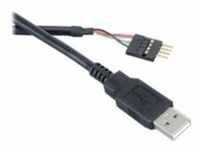 Akasa EXUSBIE-40 - USB-Kabel - USB (M) - USB 2.0 - 40 cm - Schwarz