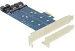 DeLOCK PCI Express Card > 2 x internal M.2 NGFF