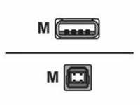 Equip - USB-Kabel - USB (M) bis USB Typ B (M)