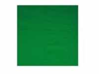 walimex Stoffhintergrund 2,85x6m, uni grün (16550)