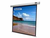 Celexon Economy electric screen - Leinwand - Deckenmontage möglich, geeignet...