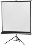 Celexon Stativ Economy 1090014 Stativleinwand 133 x 133cm Bildformat: 1:1
