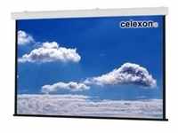 "Celexon Expert XL electric screen - Leinwand - Deckenmontage möglich, geeignet für