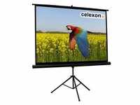"celexon Economy tripod screen - Projektionsbildschirm mit Stativ - 305 cm (120")"