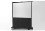 Celexon Ultramobil Plus Professional 1090367 Rollenkoffer Leinwand 174 x 98cm