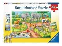 Ravensburger Puzzle Ein Tag Im Zoo, Inklusive Mini-Poster, 2 x 24 Teile, 07813 4