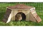 Haus Natur Nagetier