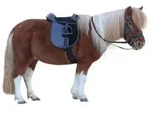 "Kerbl Sattelset Economy Pony 15" 325415"