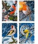 Schipper 609340661 Winterv&ouml;gel (Quattro) Malen nach Zahlen