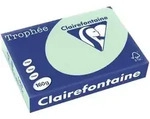 Kopierpapier Trophee A4 160g/qm VE=250 Blatt hellgr&uuml;n