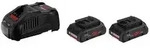 Akku Starter-Set: 2 x ProCORE 18 Volt, 4.0 Ah und GAL 1880 CV Professional