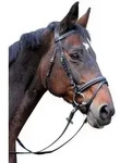 Kerbl Trensenzaum Classic Leder Schwarz Pony 326138
