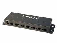 Lindy 7-Port USB Hub - Hub - 480 Mbps - 7-Port - USB / USB 2.0
