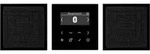 Jung Smart Radio DAB+ DAB LS2 BT SW