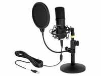 DeLOCK Professional USB Condenser Microphone Set for Podcasting and Gaming