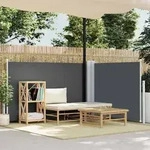 vidaXL Ausziehbare Seitenmarkise Anthrazit 100 x 600 cm