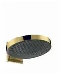 hansgrohe HG Kopfbrause Rainfinity 360 1jet Wandmontage polished gold