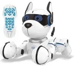 Power Puppy - Mein intelligenter programmierbarer und taktiler Roboterhund mit